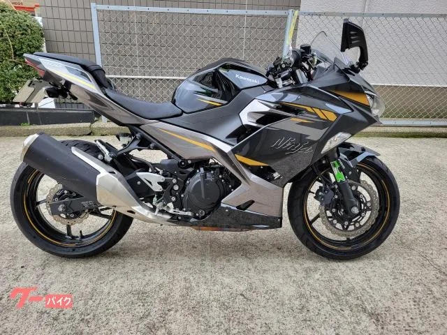 Kawasaki Ninja 400 2022 — фото 1, купить с доставкой в Москву