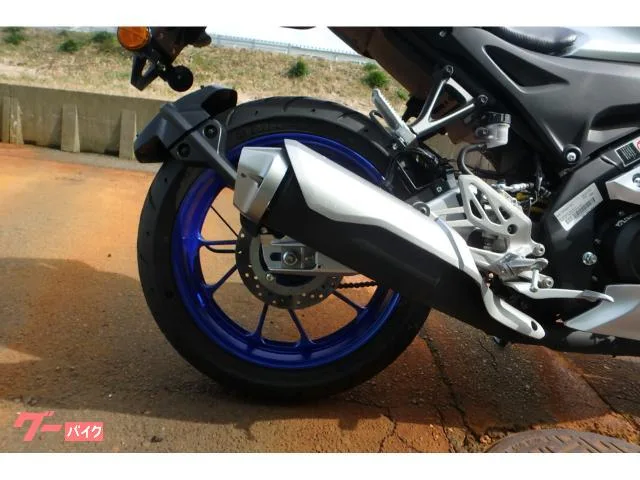 Yamaha YZF-R15M 2024 — миниатюра 3