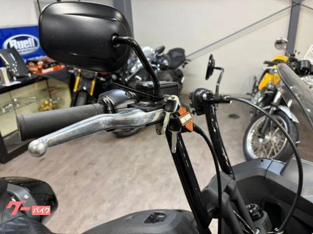 HARLEY-DAVIDSON FXLRST ST 2024 — миниатюра 3