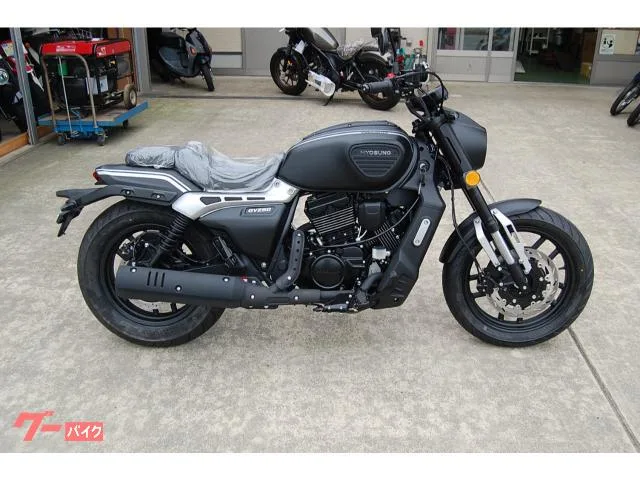 HYOSUNG GV250DRA 2023 — миниатюра 5