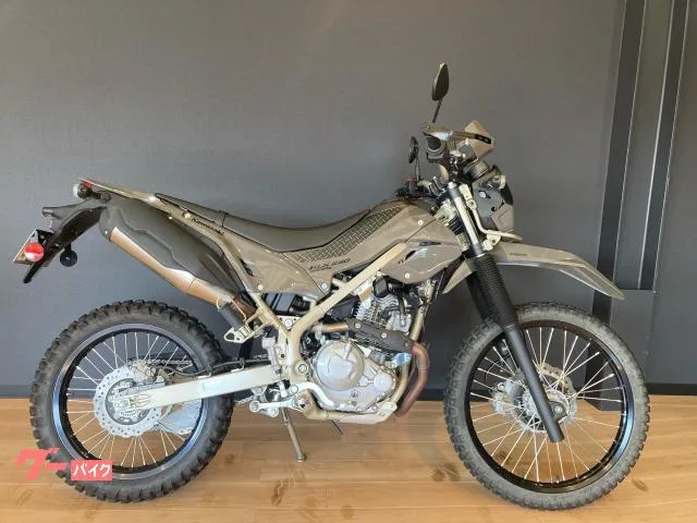 Kawasaki KLX230 2025 — фото 1, купить с доставкой в Москву