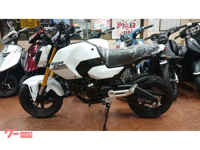 Honda 2025ABSLED 2026 — миниатюра 2