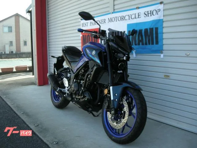 Yamaha MT-25A RG74J 2022 — миниатюра 2