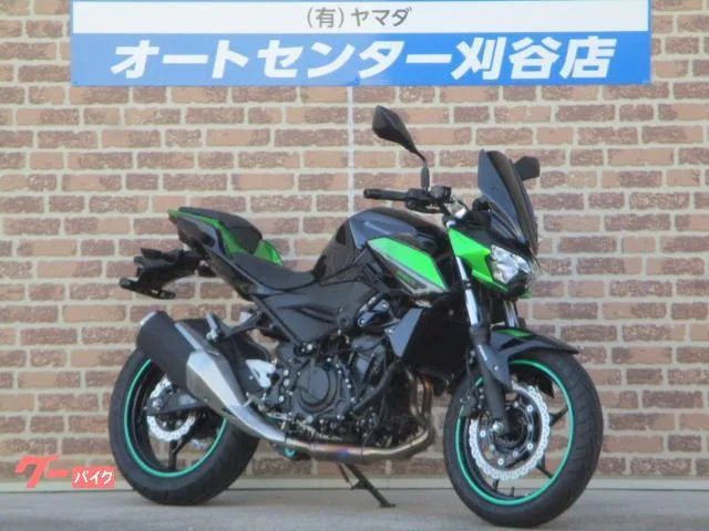 Kawasaki Z250 2023 — миниатюра 2