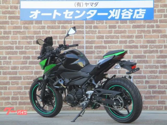 Kawasaki Z250 2023 — миниатюра 3