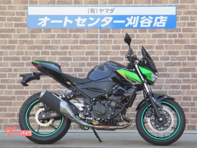 Kawasaki Z250 2023 — фото 1, купить с доставкой в Москву