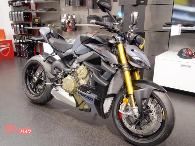 DUCATI V4S 2024 — миниатюра 2