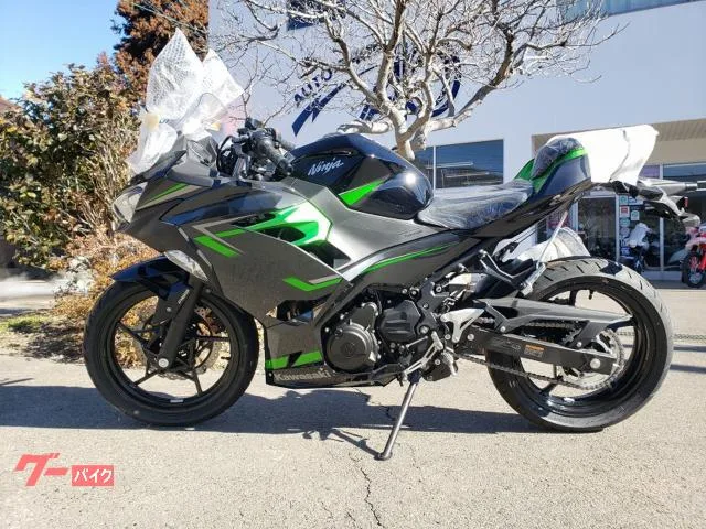 Kawasaki Ninja 400 2023 — миниатюра 3