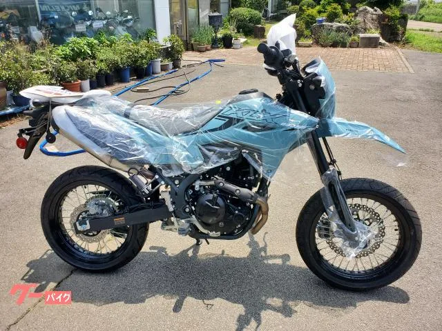 Kawasaki KLX230SM 2025 — фото 1, купить с доставкой в Москву