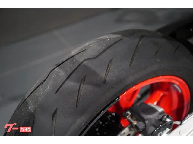 DUCATI 698 RVE 2024 — миниатюра 3