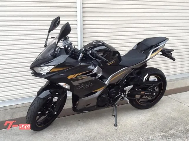 Kawasaki Ninja 400 2022 — миниатюра 2
