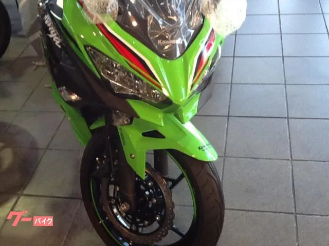 Kawasaki Ninja 250 2024 — миниатюра 2