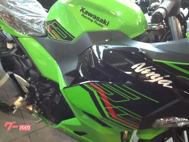 Kawasaki Ninja 250 2024 — миниатюра 3