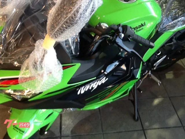 Kawasaki Ninja 250 2024 — миниатюра 4