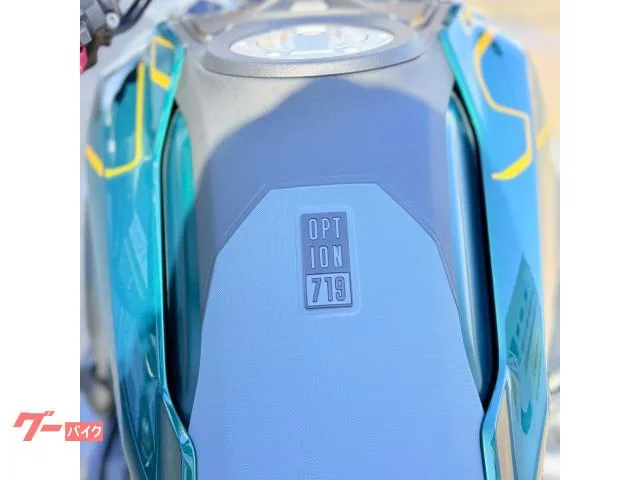 BMW R1300GS Option719 2024 — миниатюра 3
