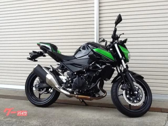 Kawasaki Z250 2024 — миниатюра 2