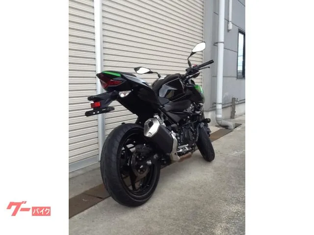 Kawasaki Z250 2024 — миниатюра 4