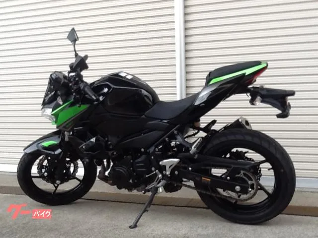 Kawasaki Z250 2024 — фото 1, купить с доставкой в Москву