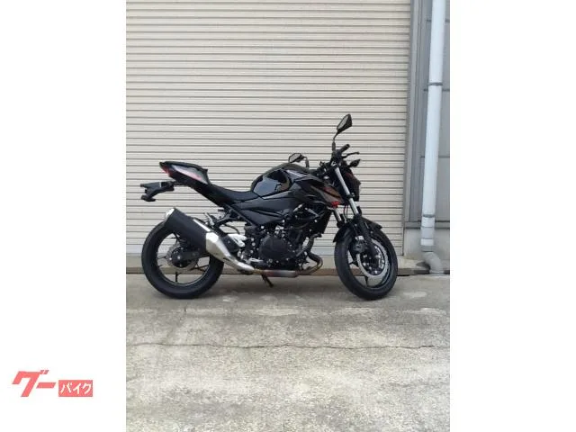 Kawasaki Z400 ETC 2024 — миниатюра 2