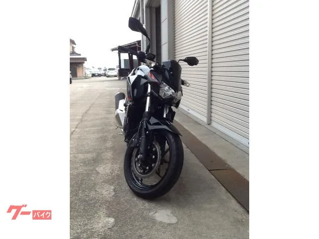 Kawasaki Z400 ETC 2024 — миниатюра 3