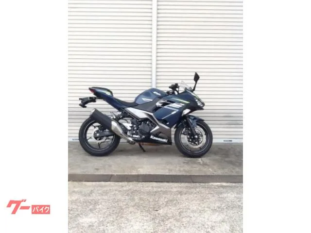 Kawasaki Ninja 400 2022 — миниатюра 2