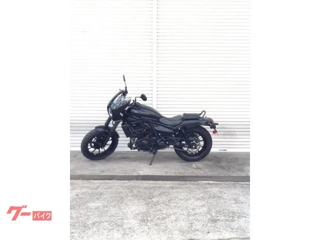 Kawasaki 400 ETC 2025 — фото 1, купить с доставкой в Москву