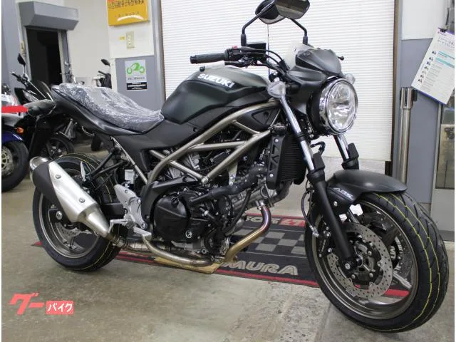 Suzuki SV650 2025 — фото 1, купить с доставкой в Москву