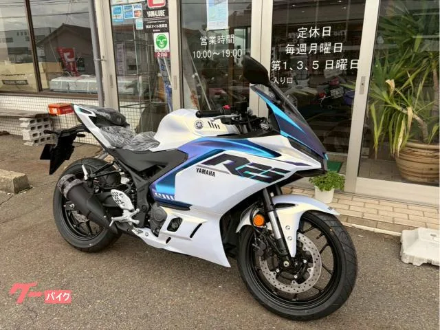 Yamaha YZF-R25 25 2025 — миниатюра 4