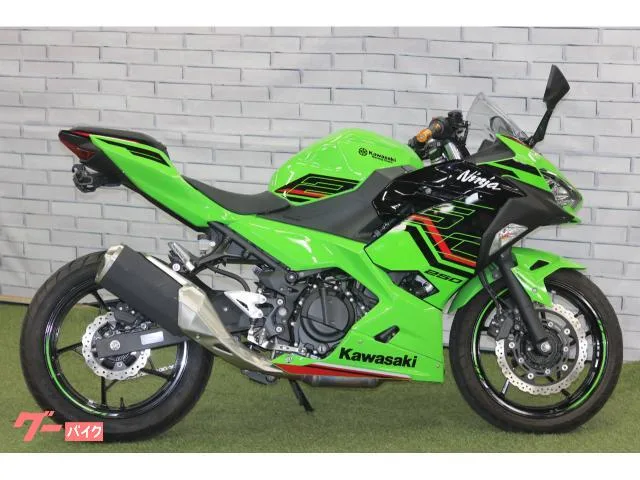 Kawasaki Ninja 250 KRT 2023 — миниатюра 2