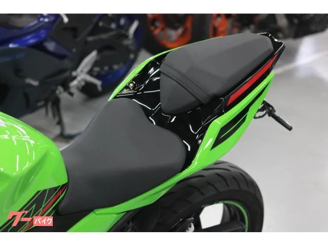 Kawasaki Ninja 250 KRT 2023 — миниатюра 3