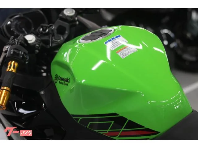 Kawasaki Ninja 250 KRT 2023 — миниатюра 5