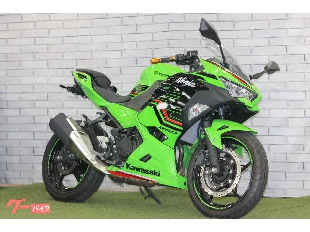 Kawasaki Ninja 250 KRT 2023 — фото 1, купить с доставкой в Москву