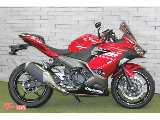 Kawasaki Ninja 250 USB 2022 — миниатюра 2