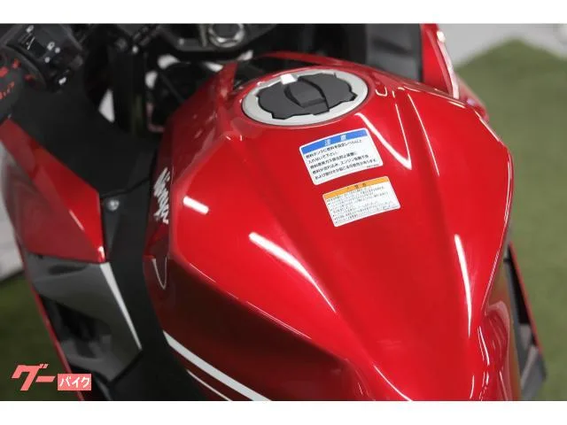Kawasaki Ninja 250 USB 2022 — миниатюра 3