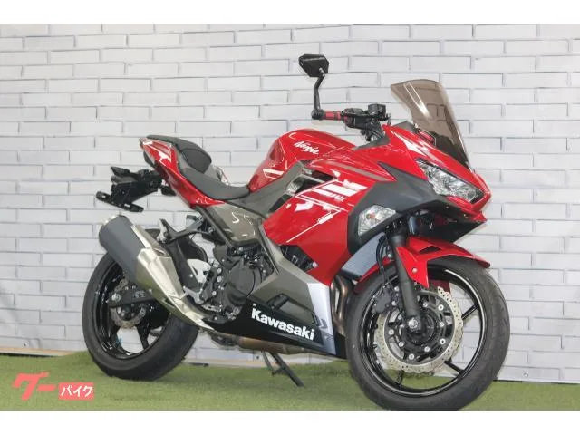 Kawasaki Ninja 250 USB 2022 — фото 1, купить с доставкой в Москву