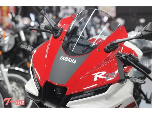 Yamaha YZF-R25 70th Anniversary Edition 2026 — миниатюра 3
