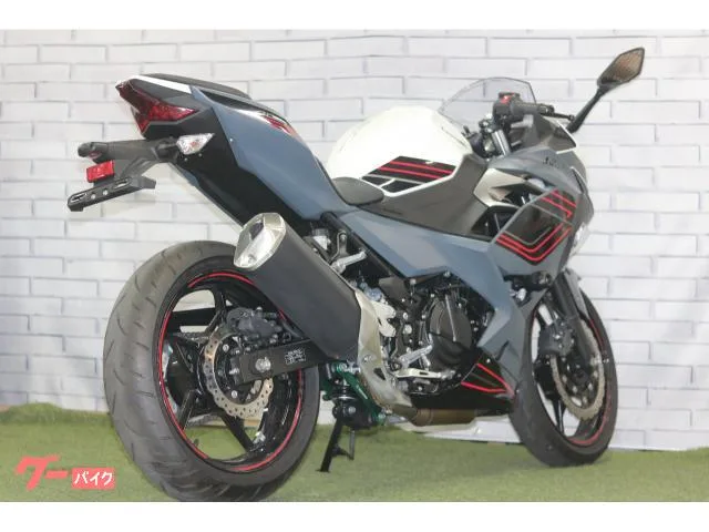Kawasaki Ninja 400 2024 — миниатюра 2