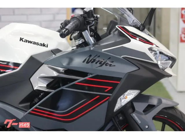 Kawasaki Ninja 400 2024 — миниатюра 3