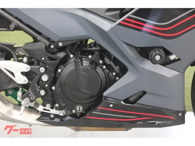 Kawasaki Ninja 400 2024 — миниатюра 5