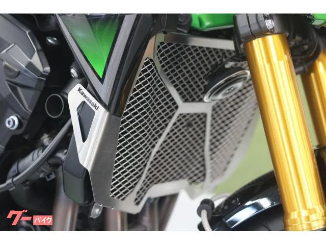 Kawasaki Z900 SE 2022 — миниатюра 3