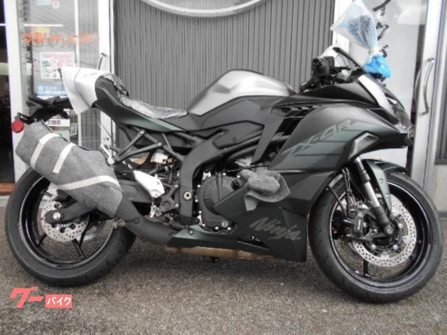 Kawasaki Ninja ZX-4R SE 2025 — миниатюра 2