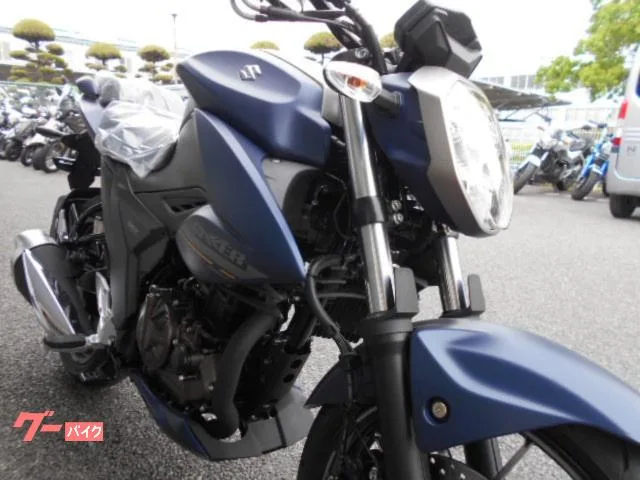 Suzuki GIXXER 250 2024 — миниатюра 3