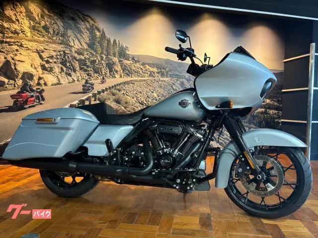 HARLEY-DAVIDSON FLTRXS 10 Screamin Eagle 2023 — фото 1, купить с доставкой в Москву