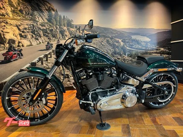 HARLEY-DAVIDSON FXBR 117 1923cc 2024 — миниатюра 5