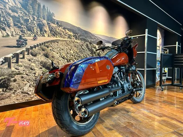 HARLEY-DAVIDSON FXLRST ST 117 2024 — миниатюра 5
