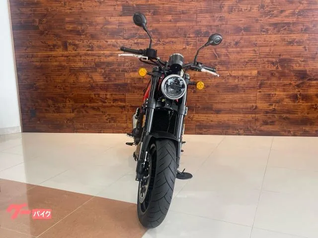 HARLEY-DAVIDSON X500 LWZX500 2024 — миниатюра 4