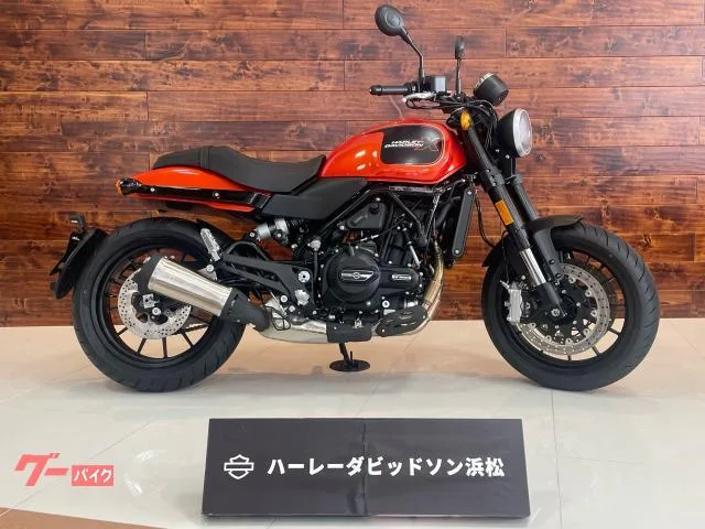 HARLEY-DAVIDSON X500 LWZX500 2024 — фото 1, купить с доставкой в Москву
