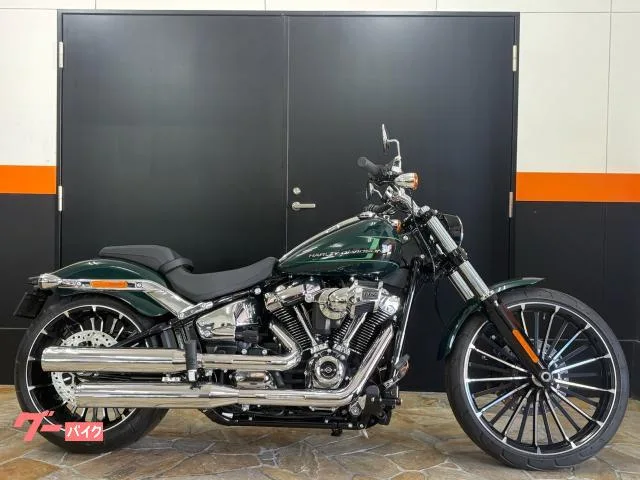 HARLEY-DAVIDSON FXBR 2024 — фото 1, купить с доставкой в Москву