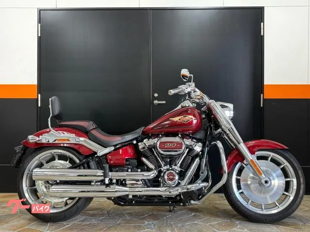 HARLEY-DAVIDSON FLFBSANV 114 2023 — фото 1, купить с доставкой в Москву