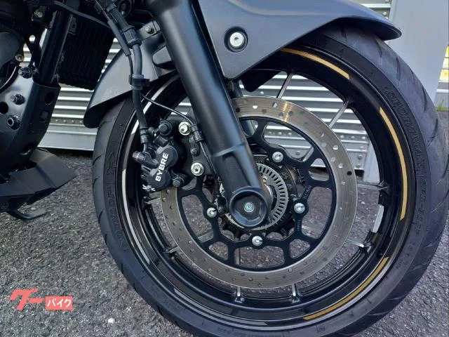 Suzuki GIXXER 250 ABS 2023 — миниатюра 5